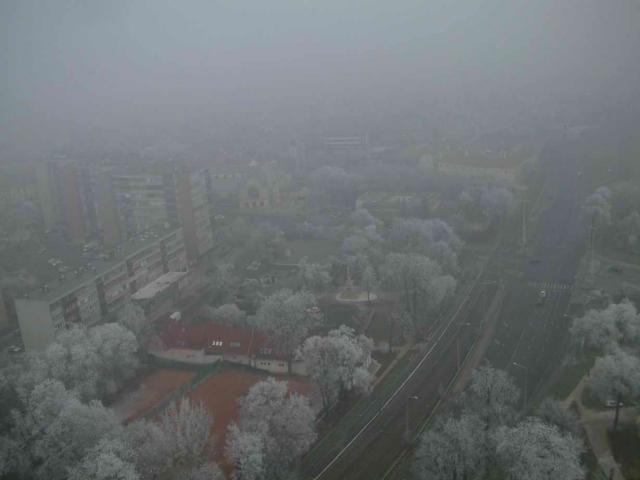 DSCF0055