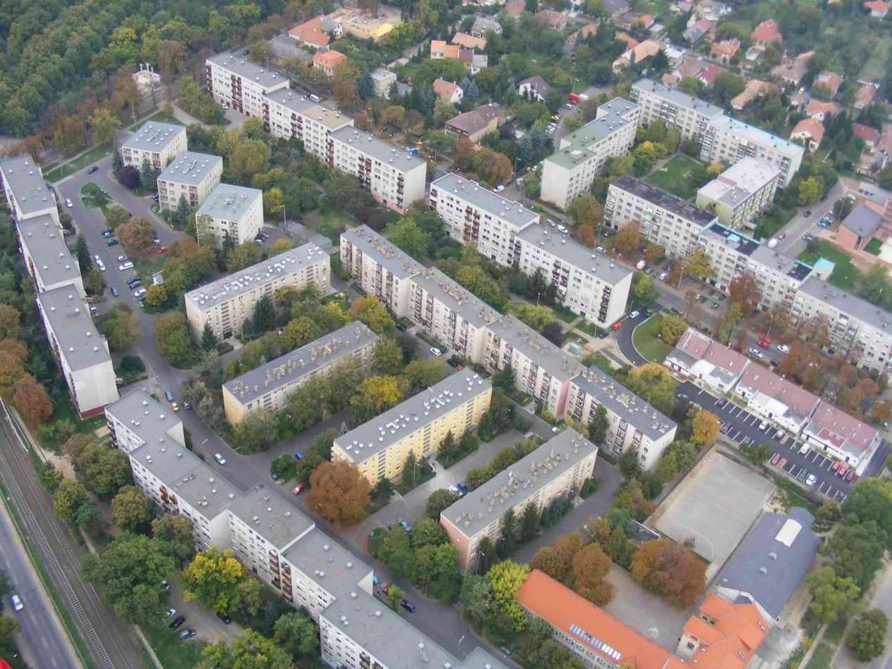 DSCF1441