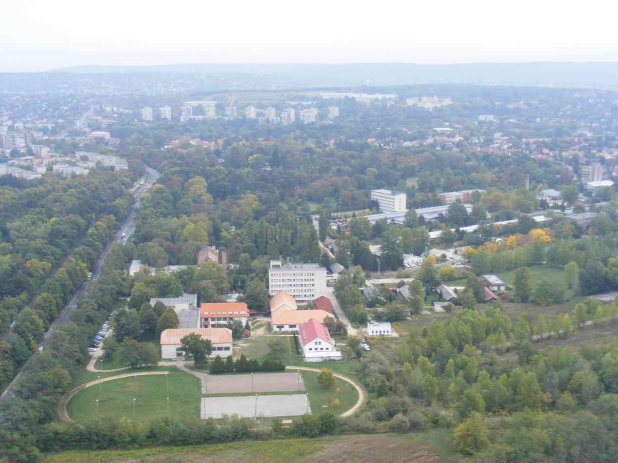 DSCF1490