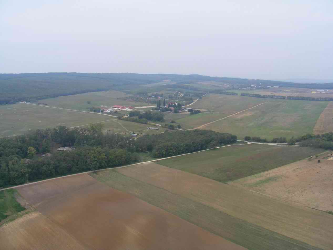 DSCF1545
