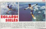C91-93.013. Egi-legi sieles