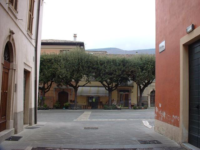 DSCF6686