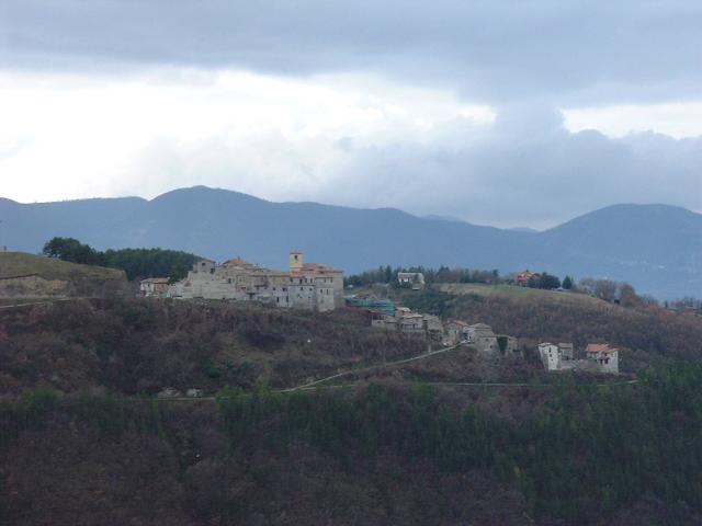 DSCF6737