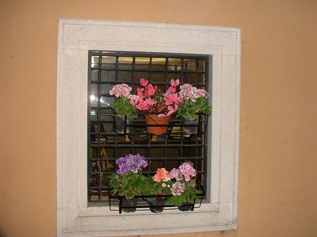 DSCF7154