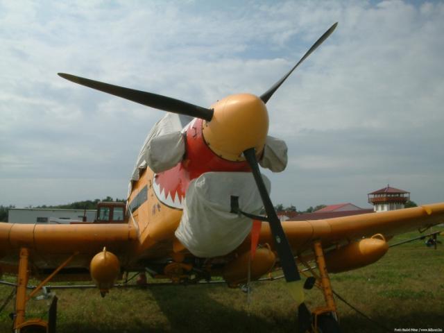 11ppgtokorcs05