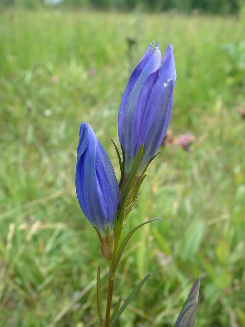045