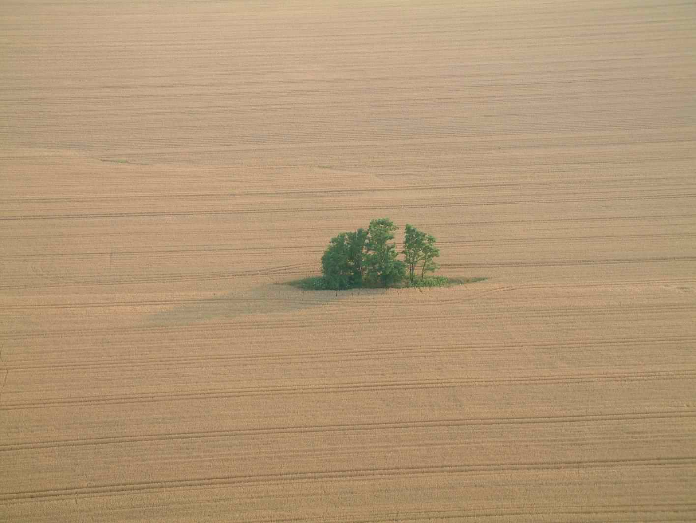 071