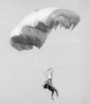 C11Para-Foil