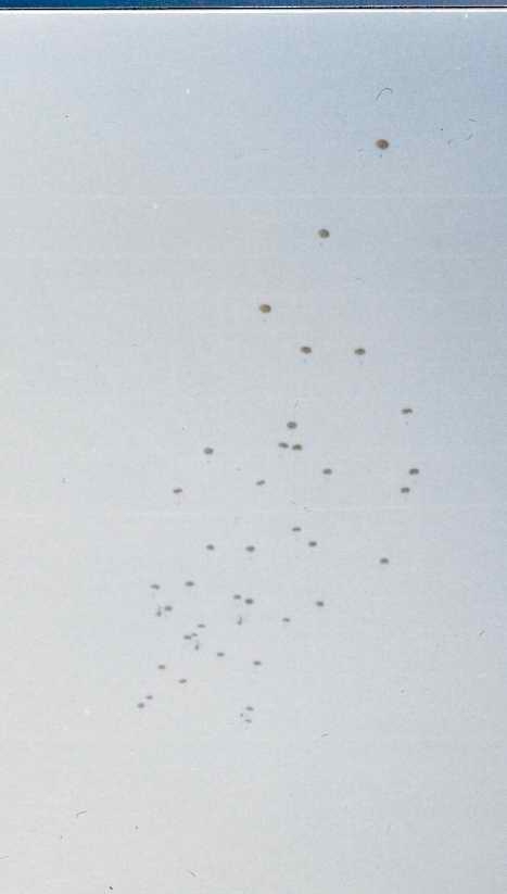 C74Budaors1988