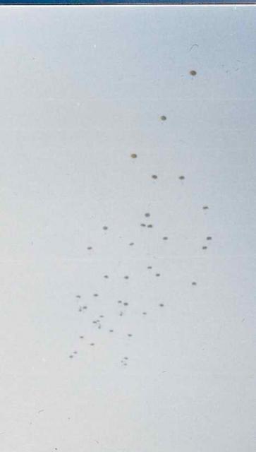 C74Budaors1988