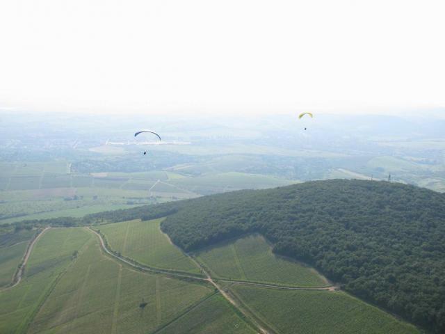 2010 042