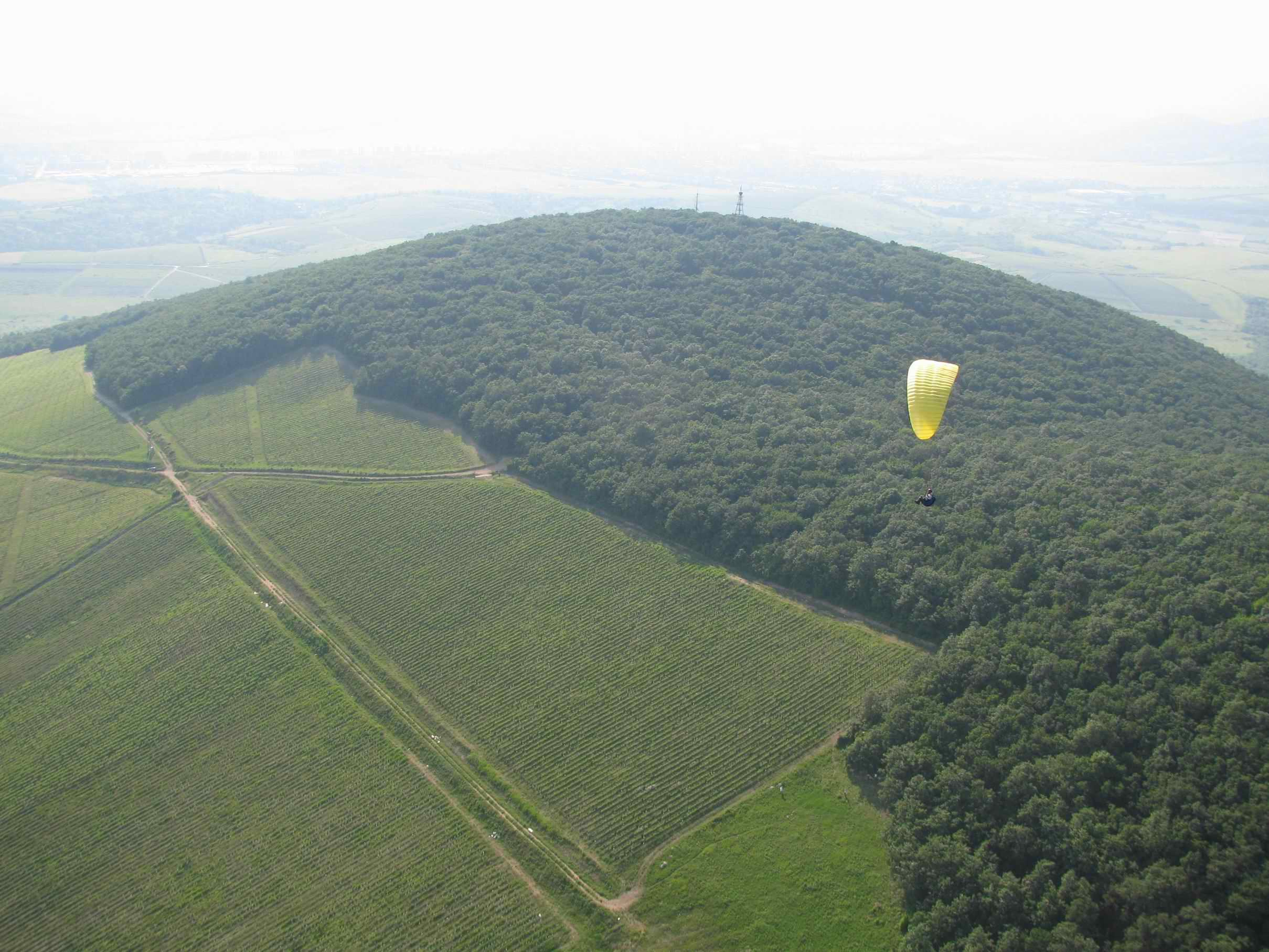 2010 054