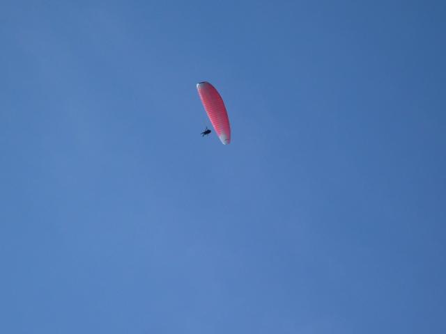 P1010413