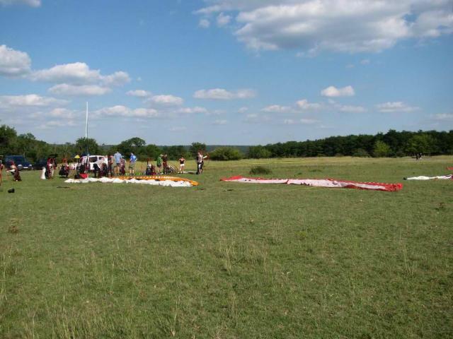 2010 116