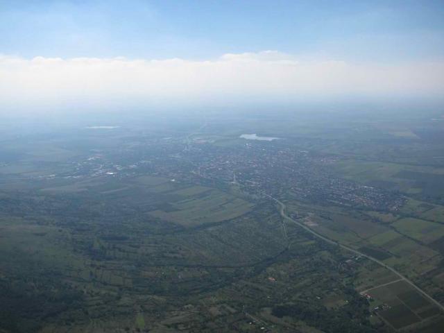 2010 006