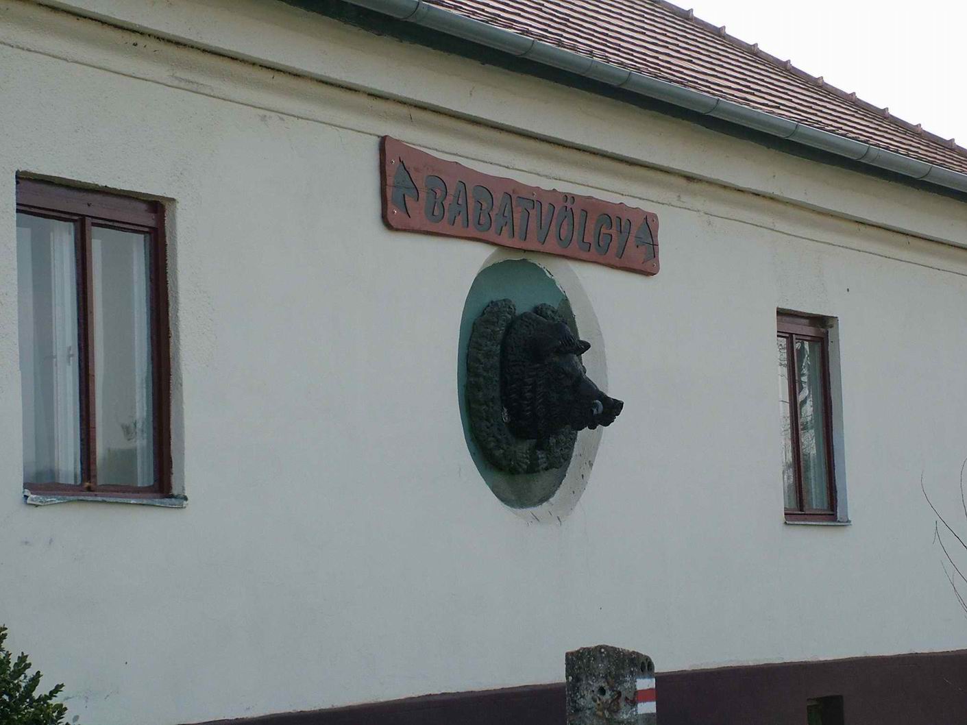 DSCF8679