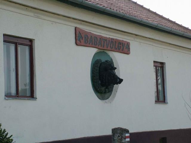 DSCF8679