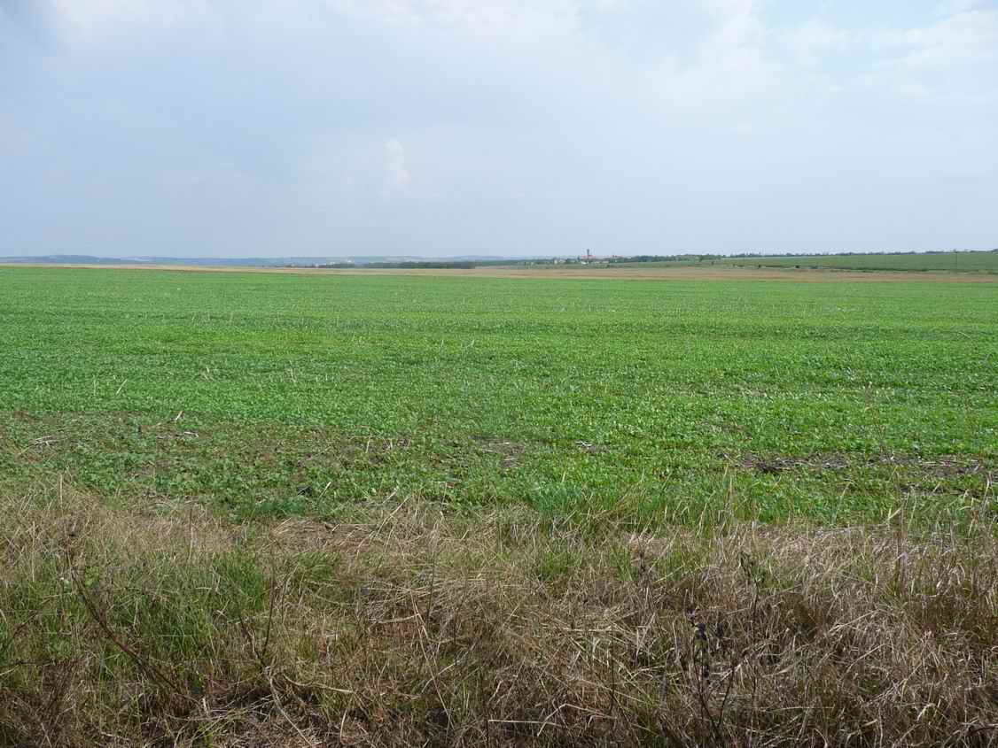 P1110733