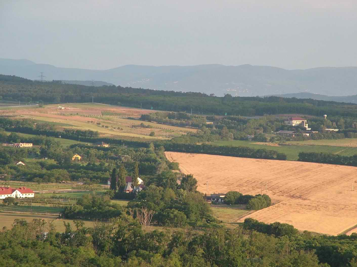 DSCF0617