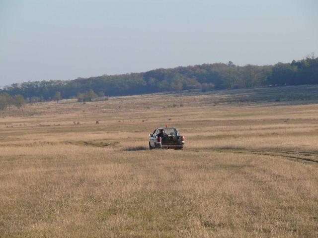 P1150397