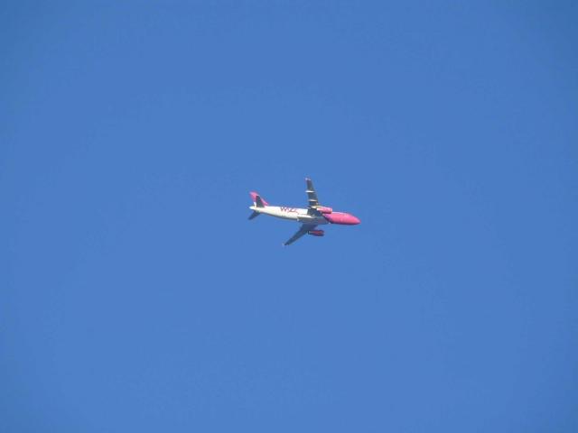 P1150496