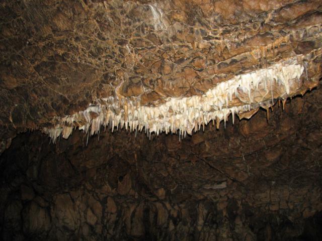 KĂŠp 330