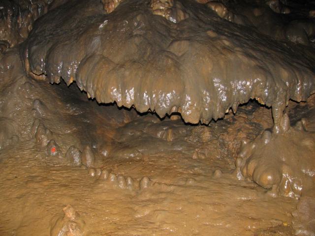 KĂŠp 354