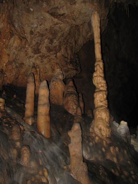 KĂŠp 356