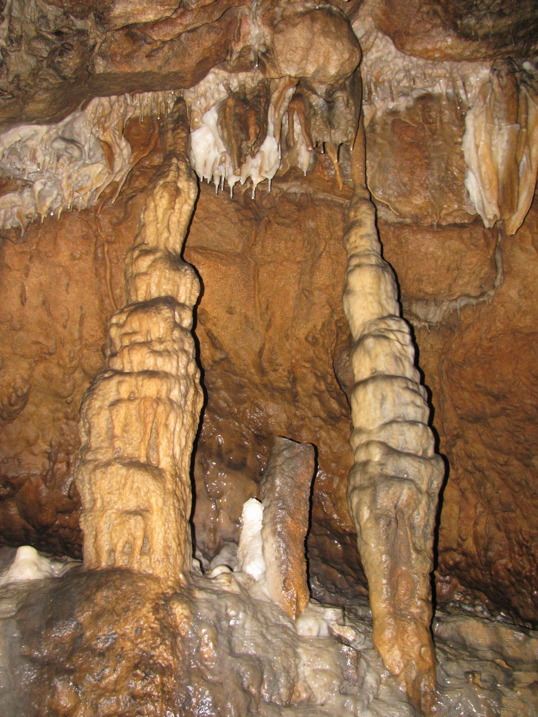 KĂŠp 365