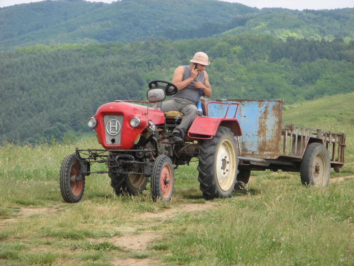 KĂŠp 164