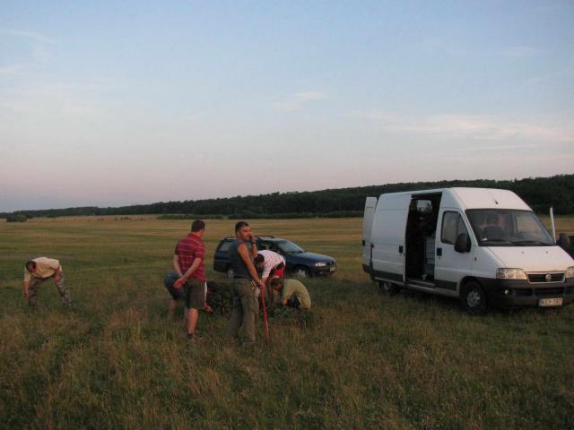 KĂŠp 024