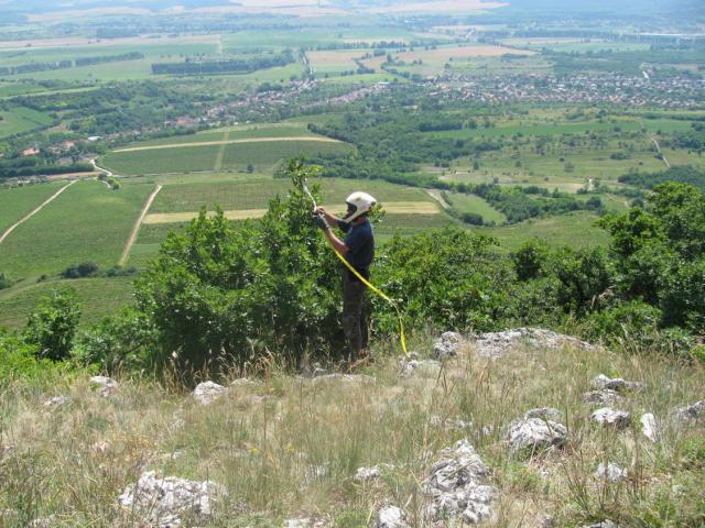 KĂŠp 014