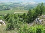 KĂŠp 027