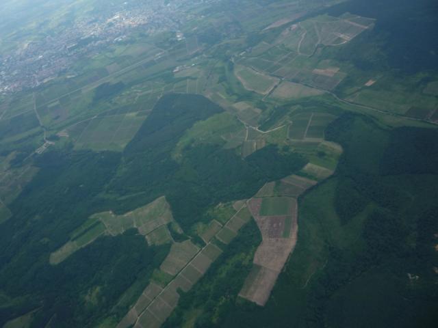 P1050488
