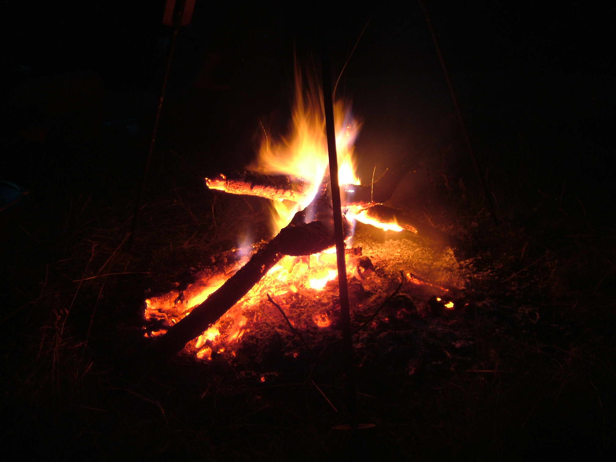 DSCF7463
