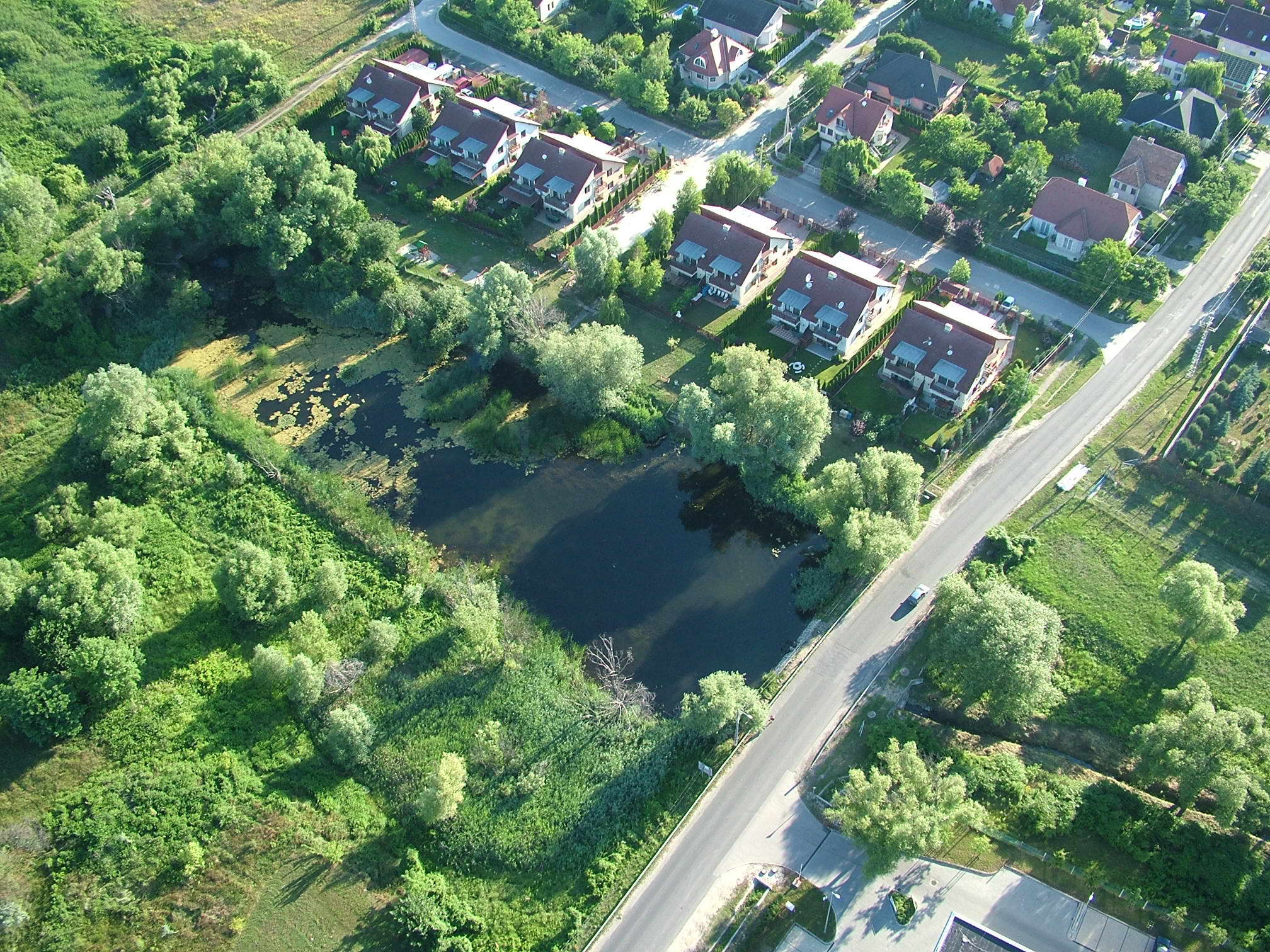 DSCF7580