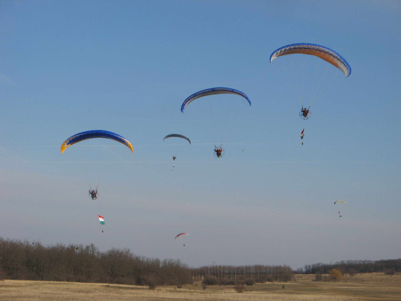 KĂśtelĂŠkrepĂźlĂŠs 195