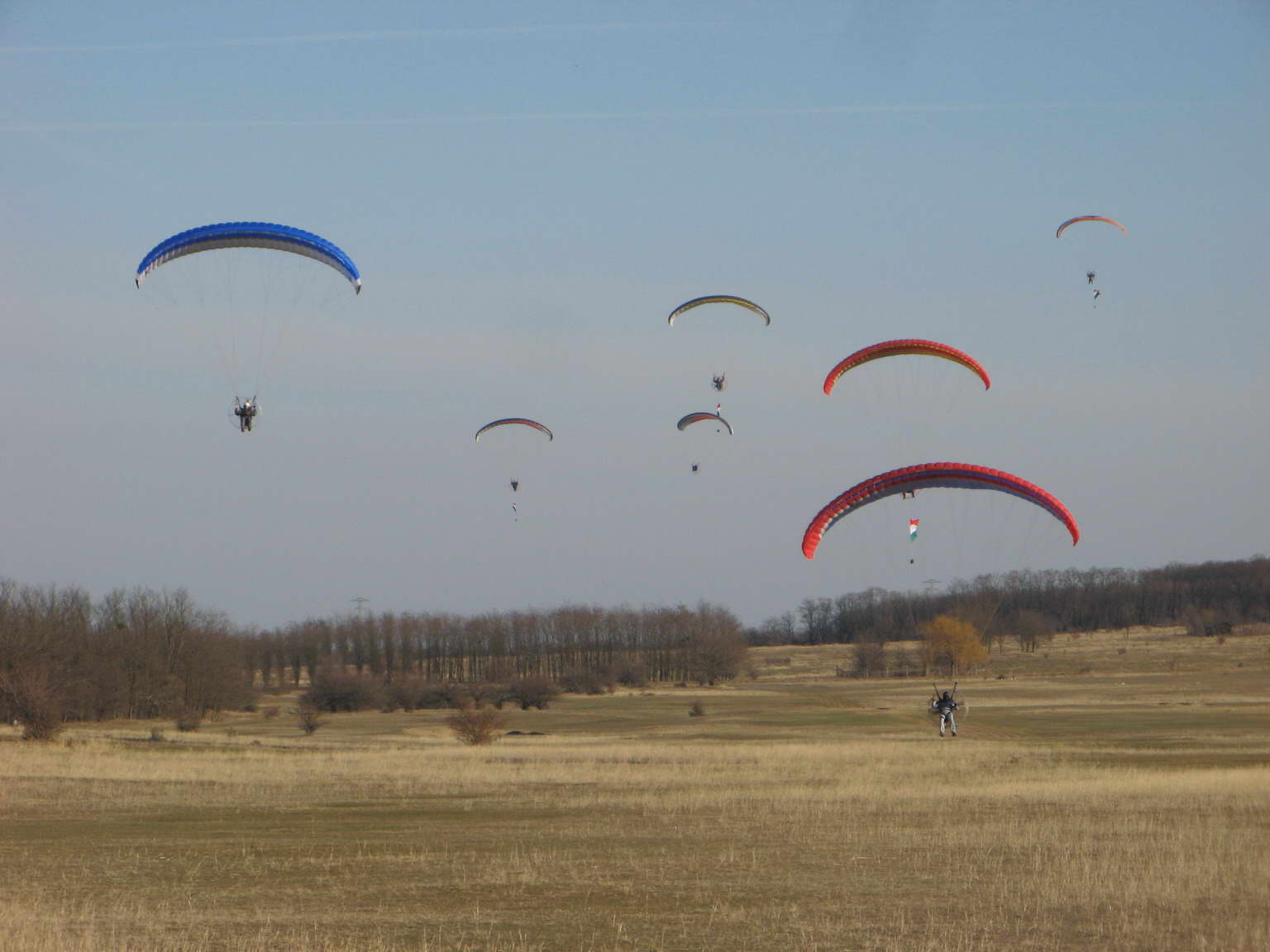 KĂśtelĂŠkrepĂźlĂŠs 211
