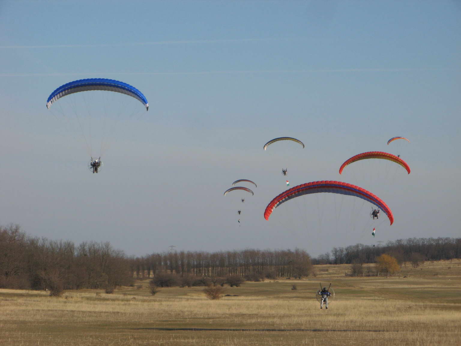 KĂśtelĂŠkrepĂźlĂŠs 214