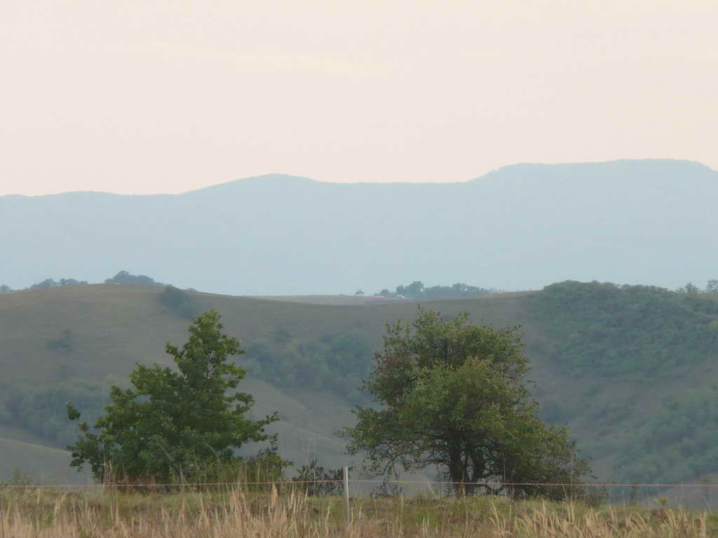 P1090917