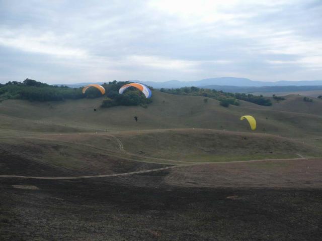 P1100046
