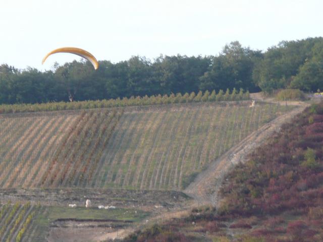 P1100471