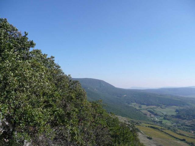 P1100542
