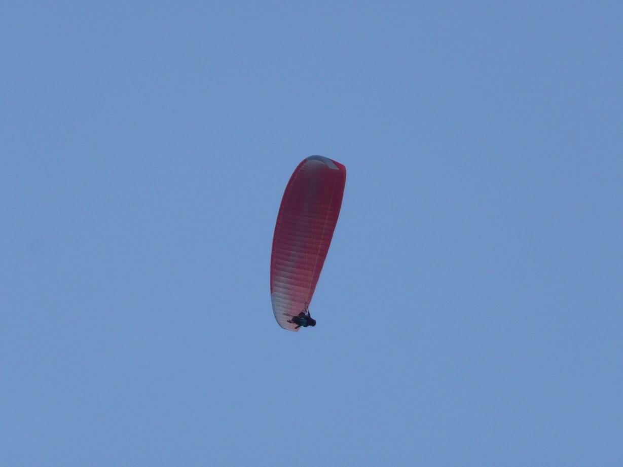 P1100995