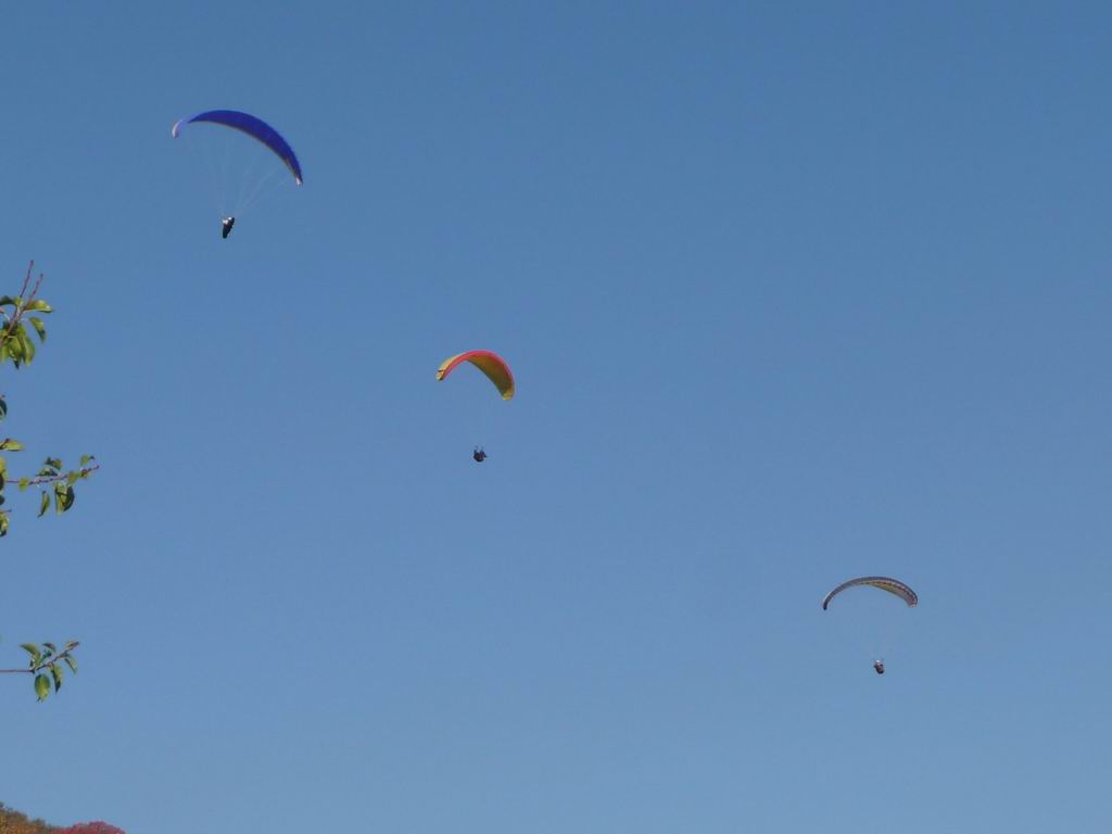 P1110094