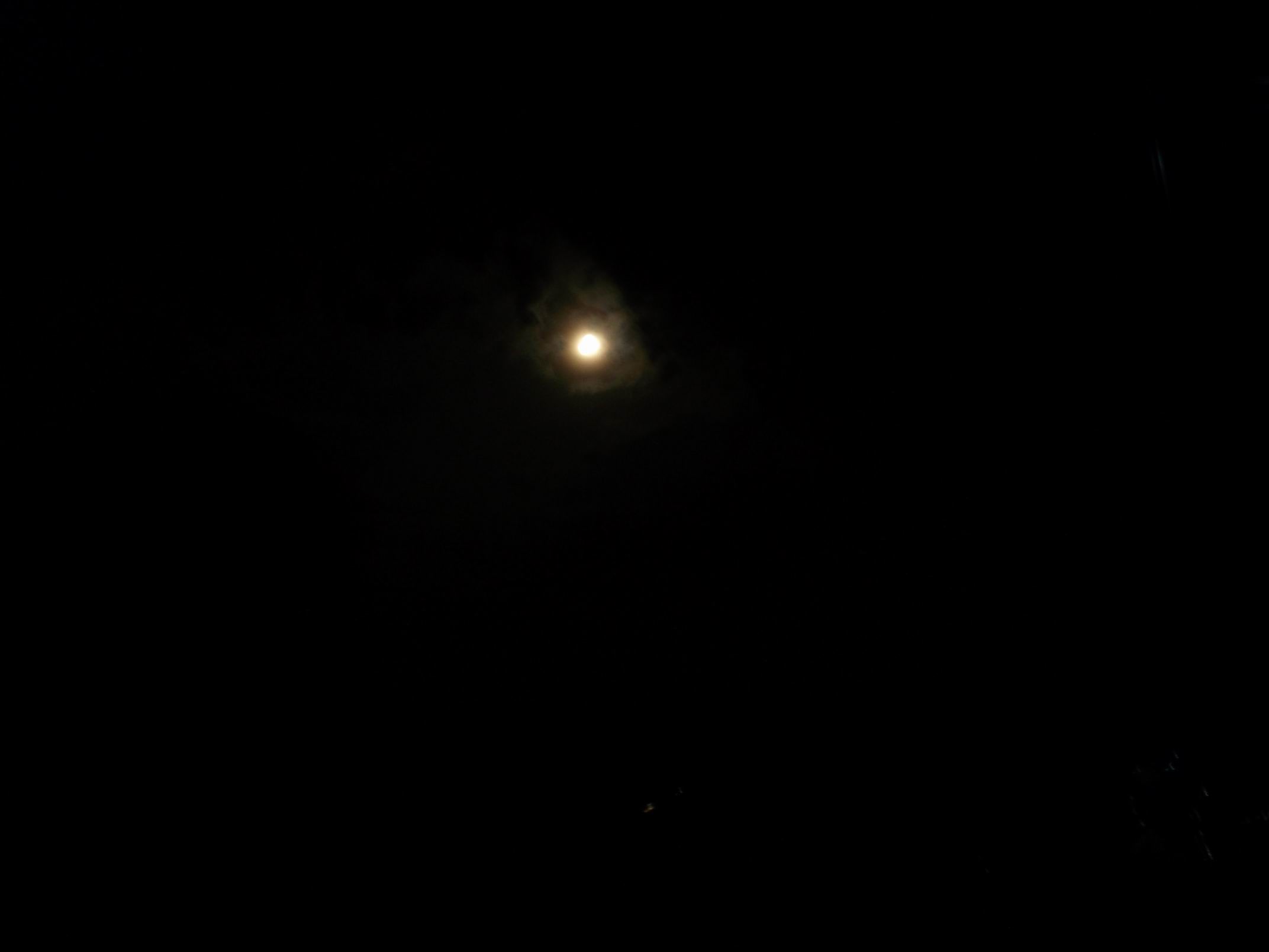 DSCF1533