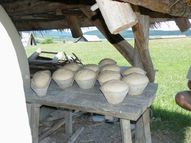 Kacar 035