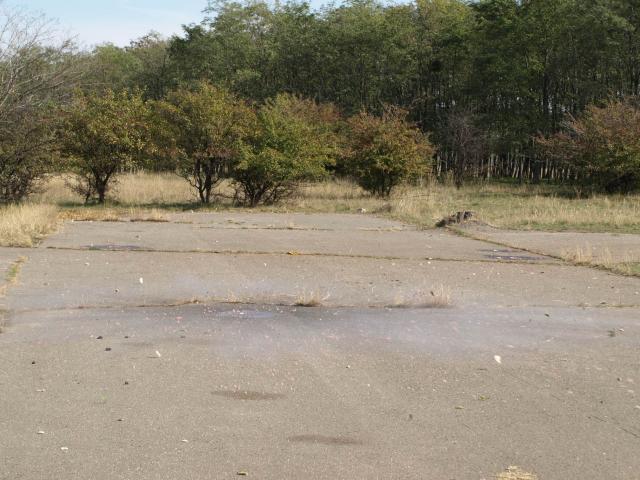 PA060084