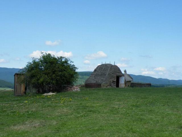 Kacar 083