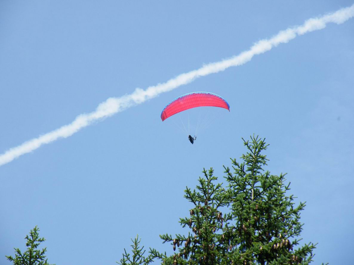 DSCF3859